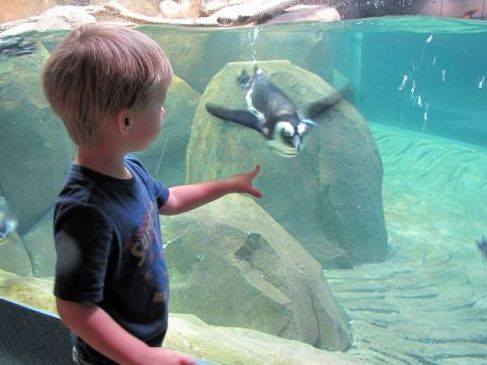 Greensboro Science Center